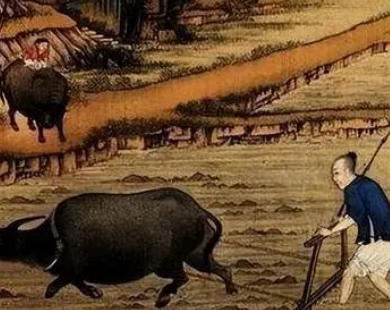  什么是井田制和均田制？有什么区别？