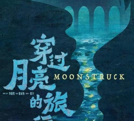 《穿过月亮的旅行》剧情是什么 讲了什么故事