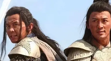 杨家将世代忠勇，为什么会有一支后人选择犯上作乱？