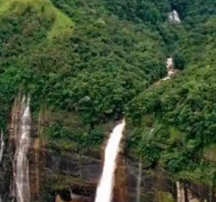 世界“雨极”在什么地方？降水量有多少?