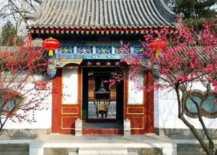 在小说红楼梦中宝钗与袭人为何建议宝玉搬出大观园？