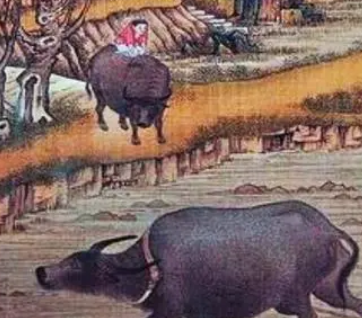  明朝时期的经济是如何发展的？有哪三个方面？