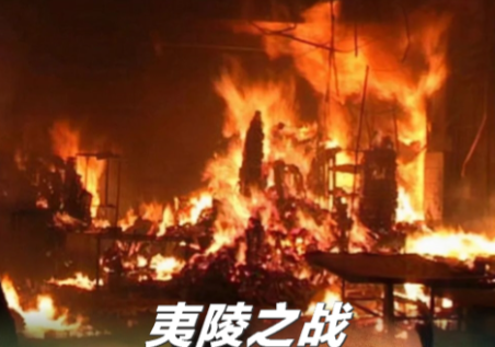 夷陵之战：刘备惨败的必然性与战略抉择的反思